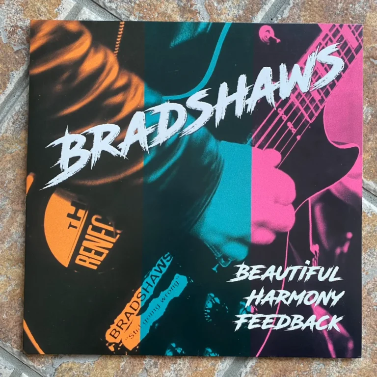 Omslagsbild på en hand och en elgitarr